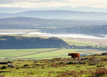 Millness Hill